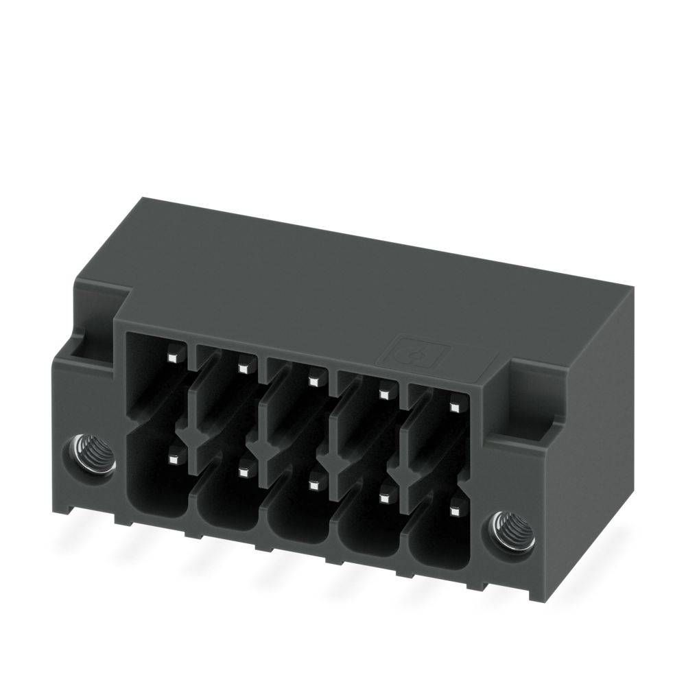 Ein schwarzer rechteckiger elektrischer Stecker mit fünf parallelen Schlitzen, an beiden Enden durch Schrauben gesichert.