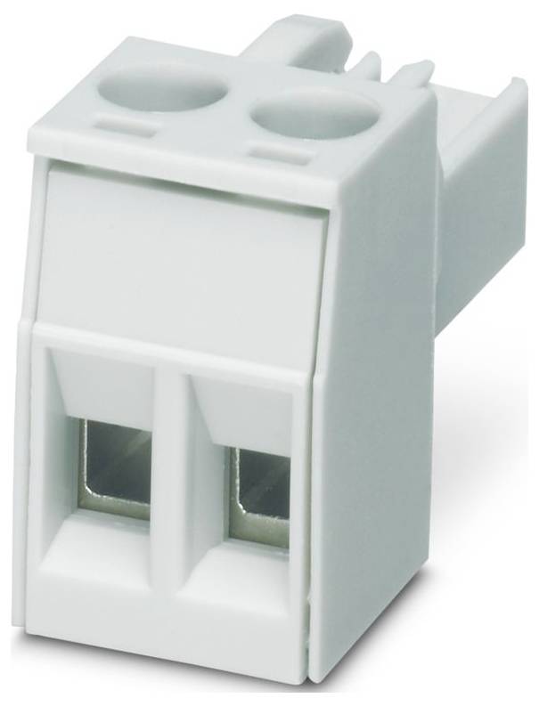Ein weißer Stromschienenstecker mit zwei Anschlüssen zur Drahtbefestigung, der zum sicheren Verbinden von Stromkreisen verwendet wird.