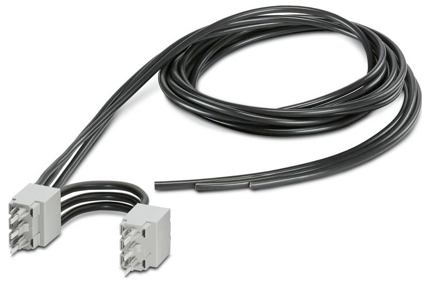Ein langes schwarzes Stromkabel mit je zwei grauen Steckern an jedem Ende, entwickelt zum Leiten von Strom oder Daten zwischen Geräten.
