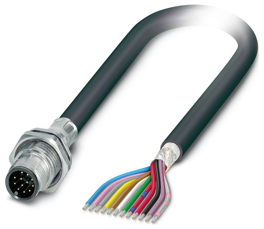 Ein schwarzes, flexibles Kabel mit einem Stecker an einem Ende und zehn freigelegten mehrfarbigen Drähten am anderen Ende, verwendet für elektrische Verbindungen.