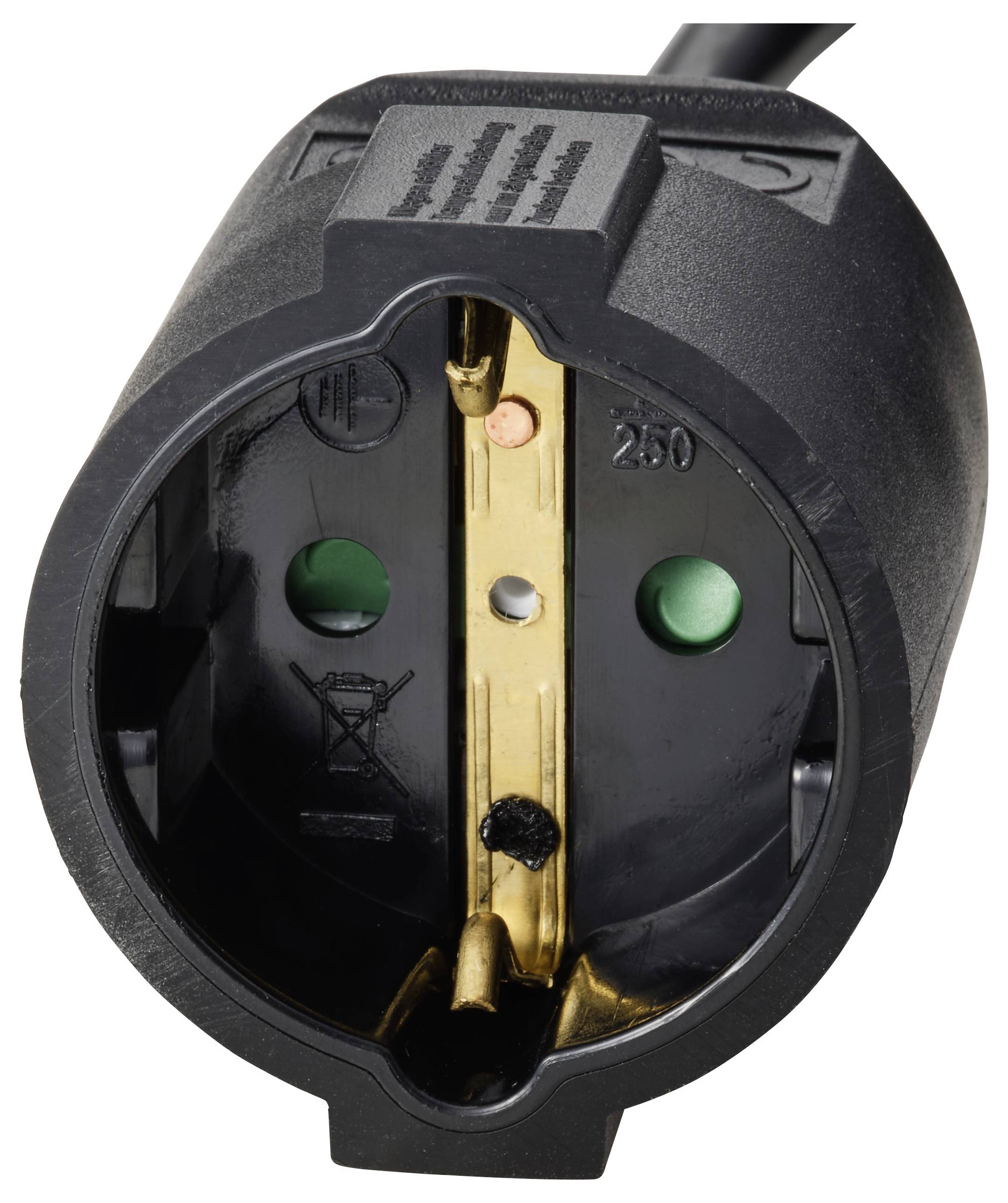 Eine Nahaufnahme einer schwarzen Elektrosteckdose mit zwei grünen Löchern, einem goldenen Kontakt im Inneren, mit der Markierung „250V