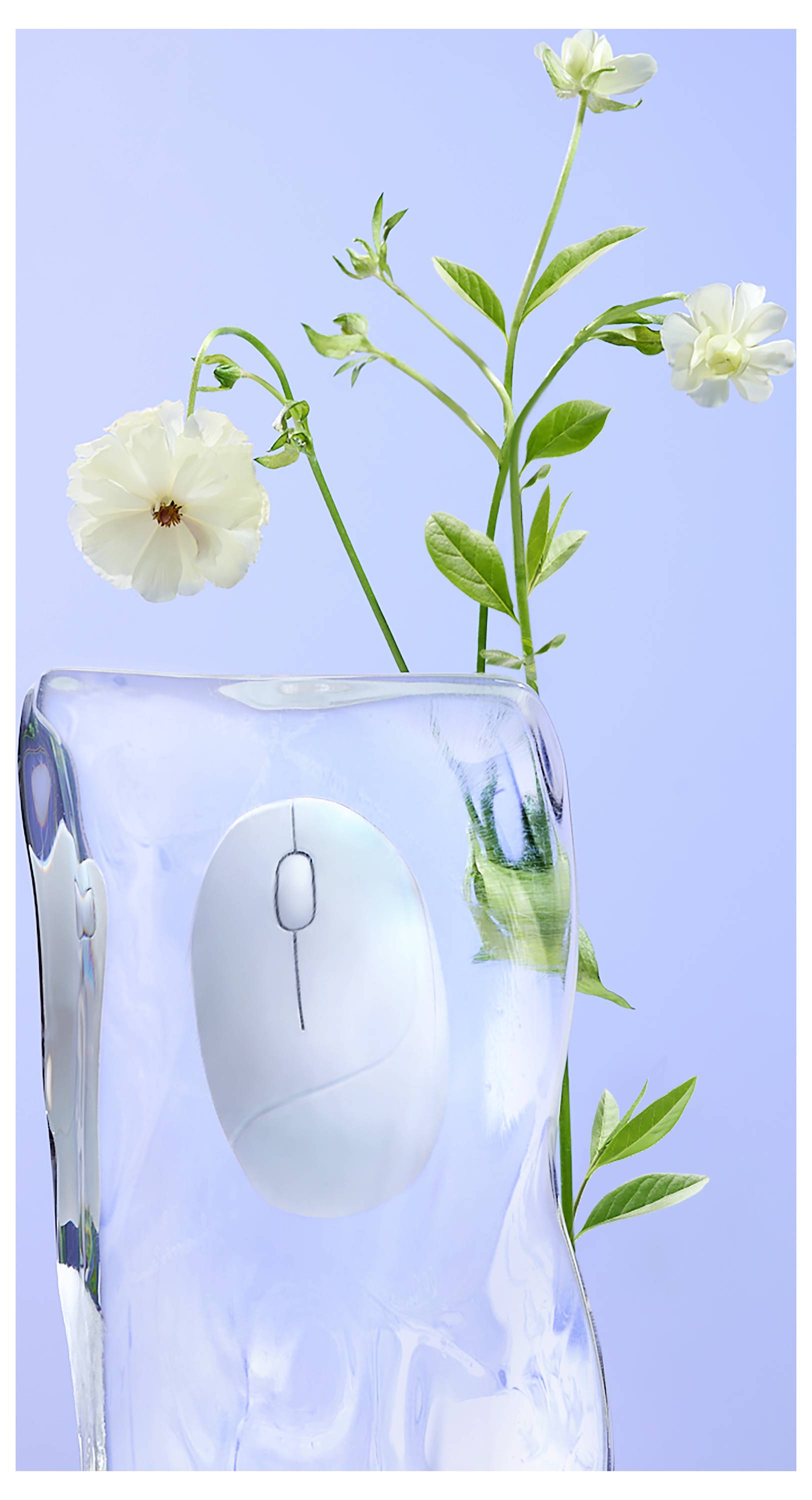Eine weiße Computermaus, eingebettet in einen durchscheinenden, eisähnlichen Block mit weißen Blumen und Grünpflanzen, vor einem hellblauen Hintergrund.