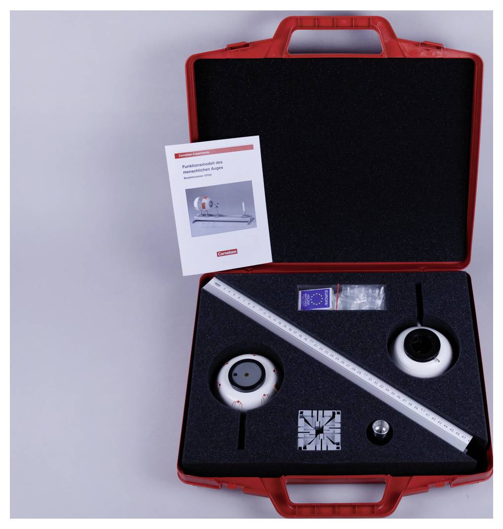 Cornelsen Experimenta 47030 Funktionsmodell