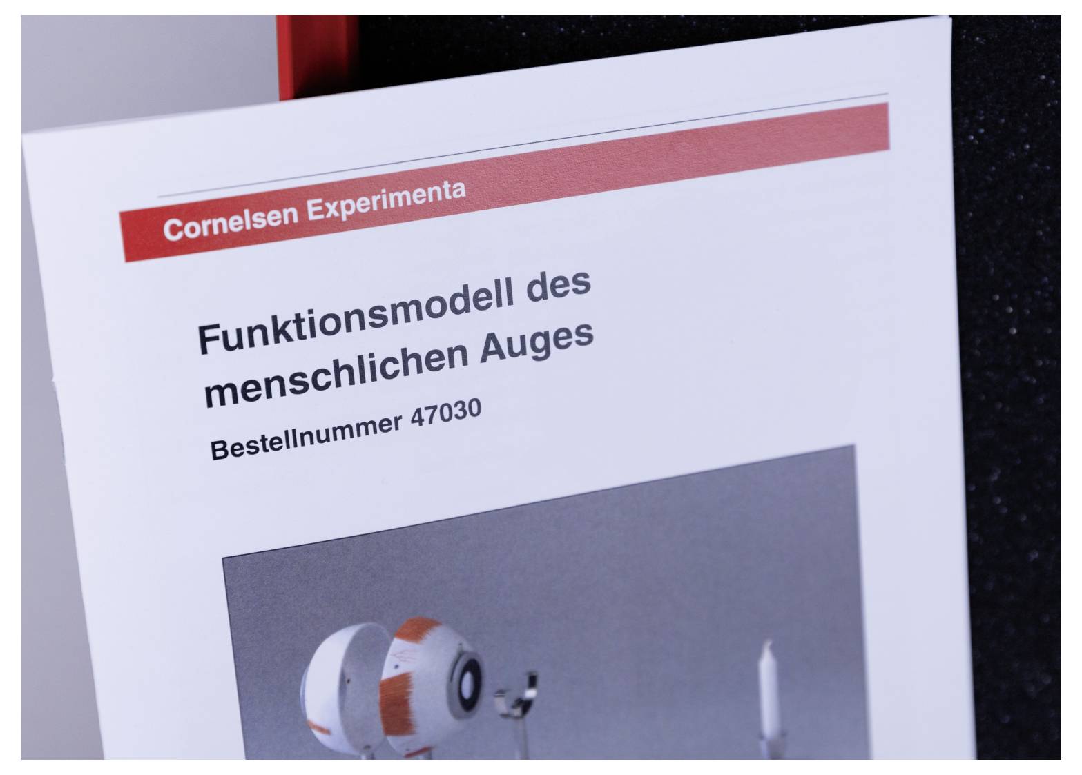 Cornelsen Experimenta 47030 Funktionsmodell