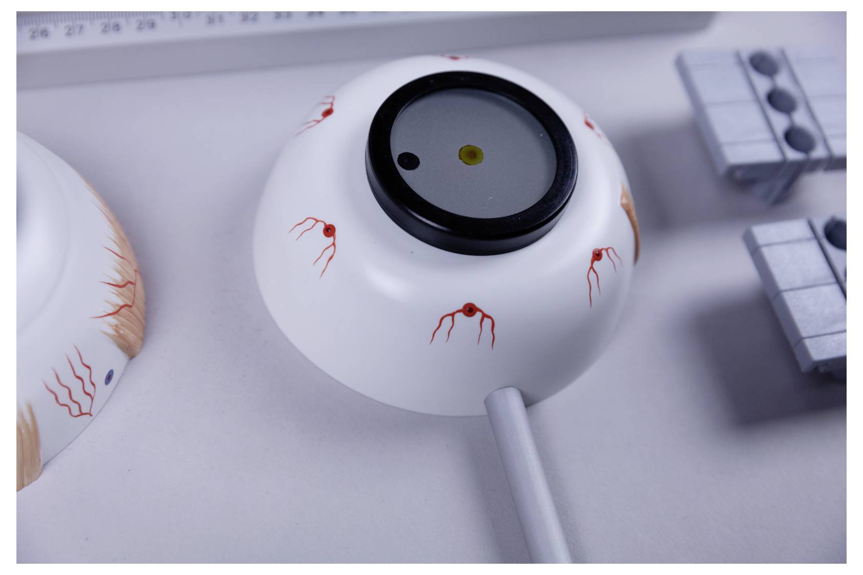 Cornelsen Experimenta 47030 Funktionsmodell