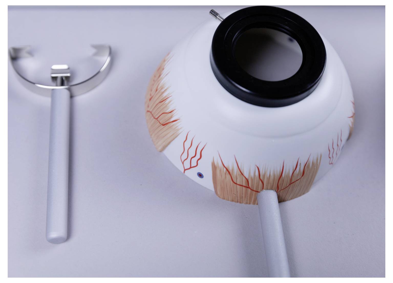 Cornelsen Experimenta 47030 Funktionsmodell