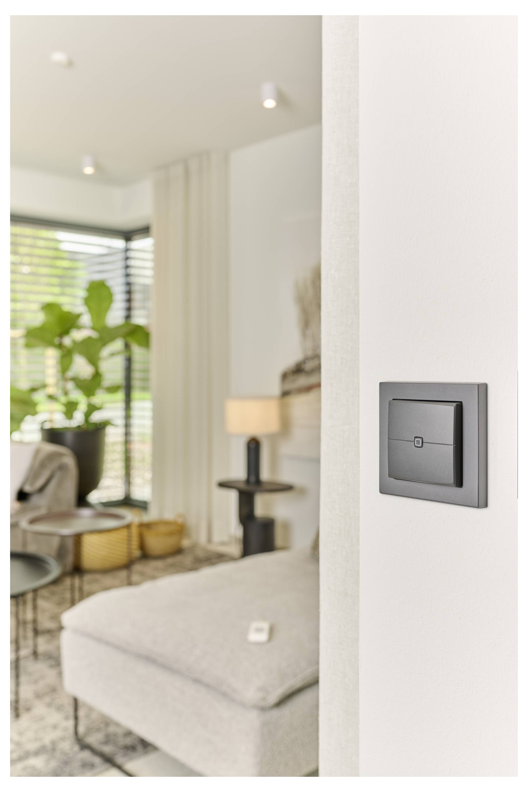 Ein moderner, minimalistischer Wohnraum mit einem schwarzen Lichtschalter an der Wand, einem beigen Sofa und einer großen Pflanze in der Nähe von sonnendurchfluteten Fenstern.