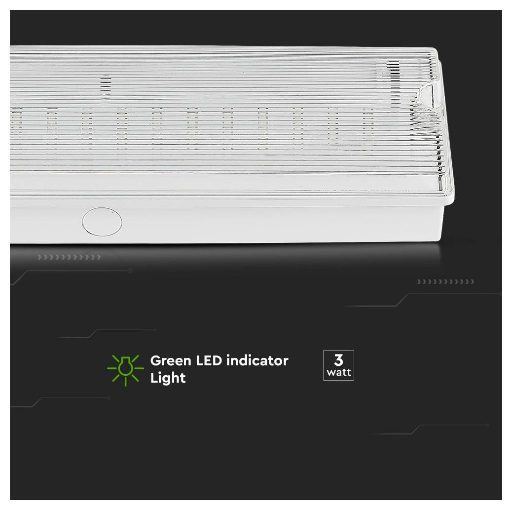 Notlicht mit transparenter Abdeckung, die die internen Lampen zeigt. Darunter Text: „Grüne LED-Anzeige