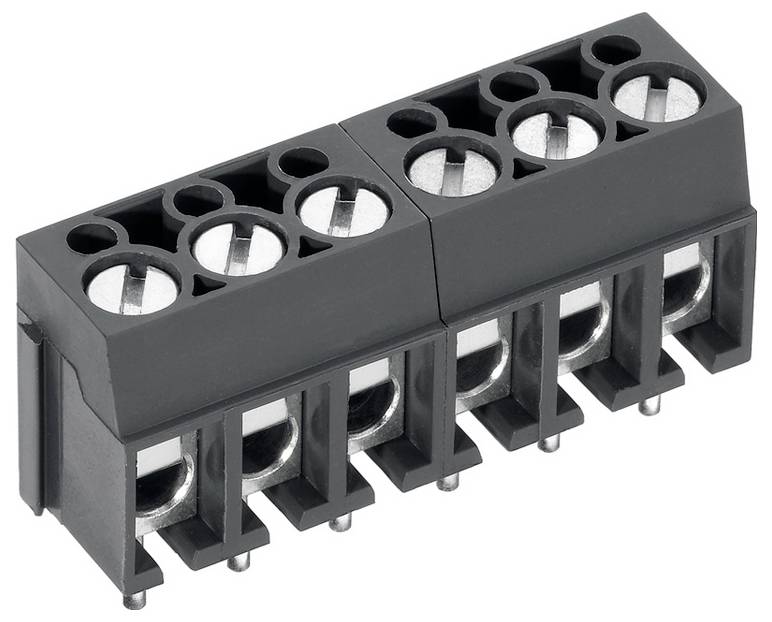 Ein schwarzer sechspoliger Anschlussblock mit Schrauben zur Befestigung von Drähten, der in elektrischen oder elektronischen Verbindungen verwendet wird.