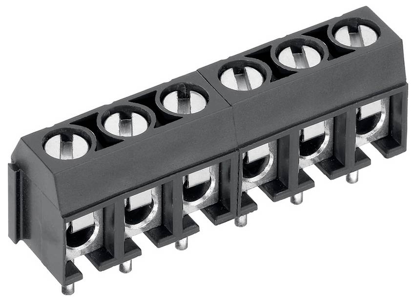 Ein schwarzer Schraubklemmenblock mit sechs Anschlüssen in einer Reihe, verwendet zum Befestigen von elektrischen Leitungen in Schaltkreisen.