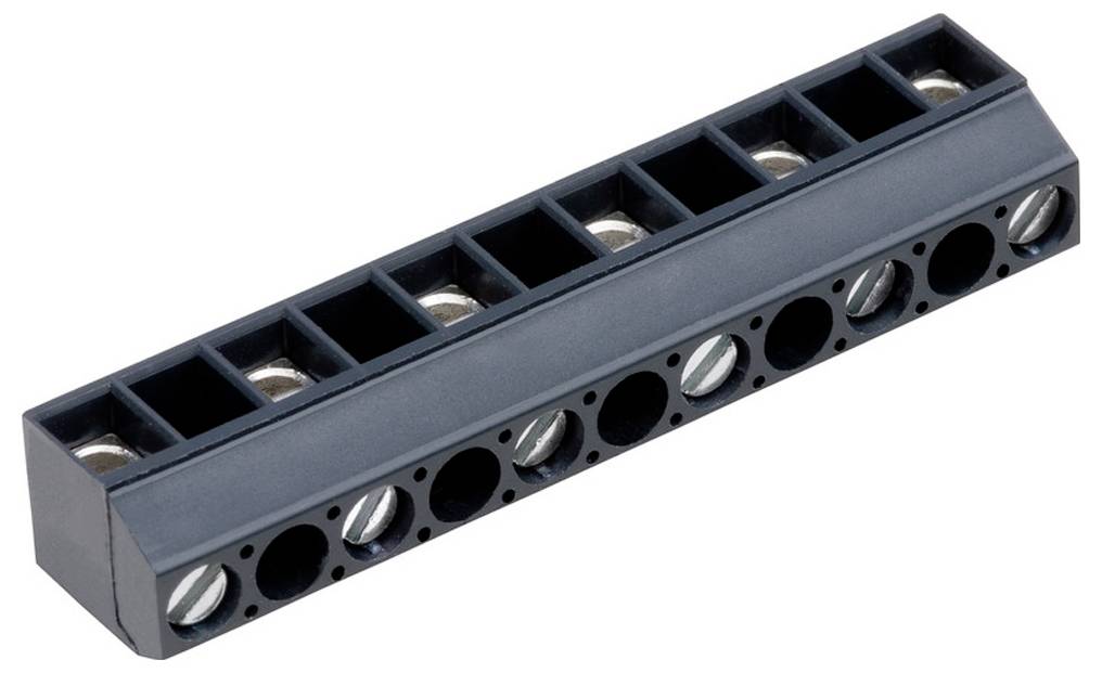 Ein schwarzes rechteckiges Klemmleistengehäuse mit zehn kreisförmigen Metallsteckern zur elektrischen Verdrahtung.
