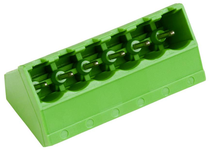 Grüne Kunststoff-Elektroklemmenleiste mit fünf Anschlussplätzen