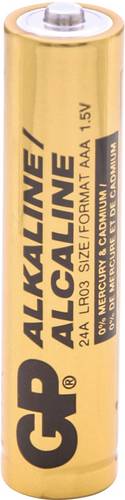 GP GPIND24AB Micro (AAA)-Batterie Alkali-Mangan 1.5 V 1000 St.