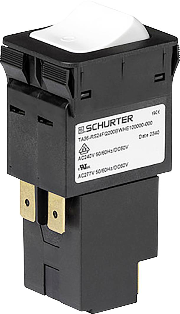 Elektrischer Schalter mit zwei Stiften, gekennzeichnet mit 'SCHURTER', Modell TAS-R 10A 250V, schwarzes Gehäuse mit weißem Betätigungsknopf oben.