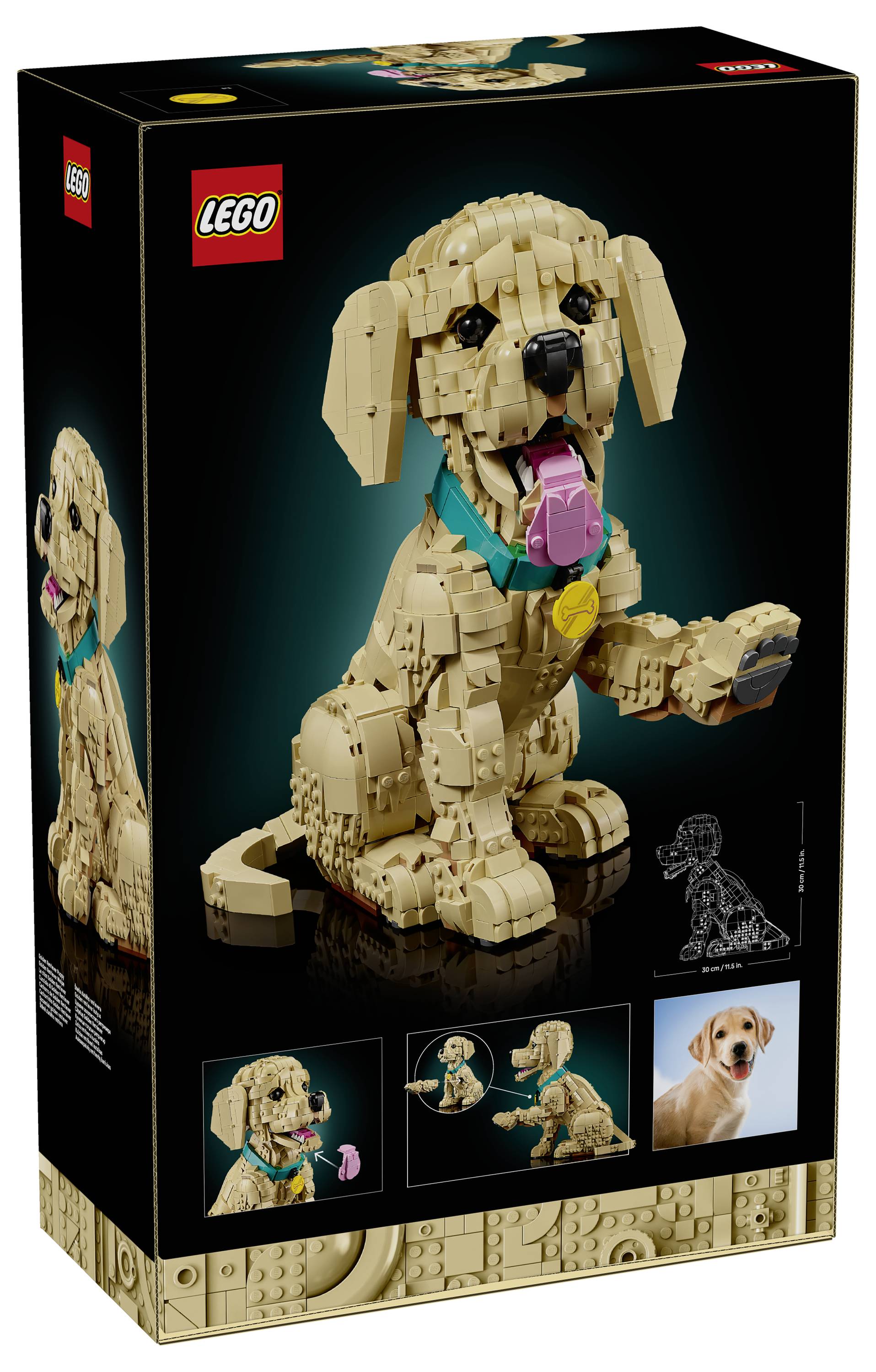 LEGO-Schachtel mit einem Modell eines beigefarbenen Hundes mit Schlappohren, der ein blaugrünes Halsband und ein rosa Herz-Anhänger trägt. Enthält Bilder des Modells und eines echten Hundes.