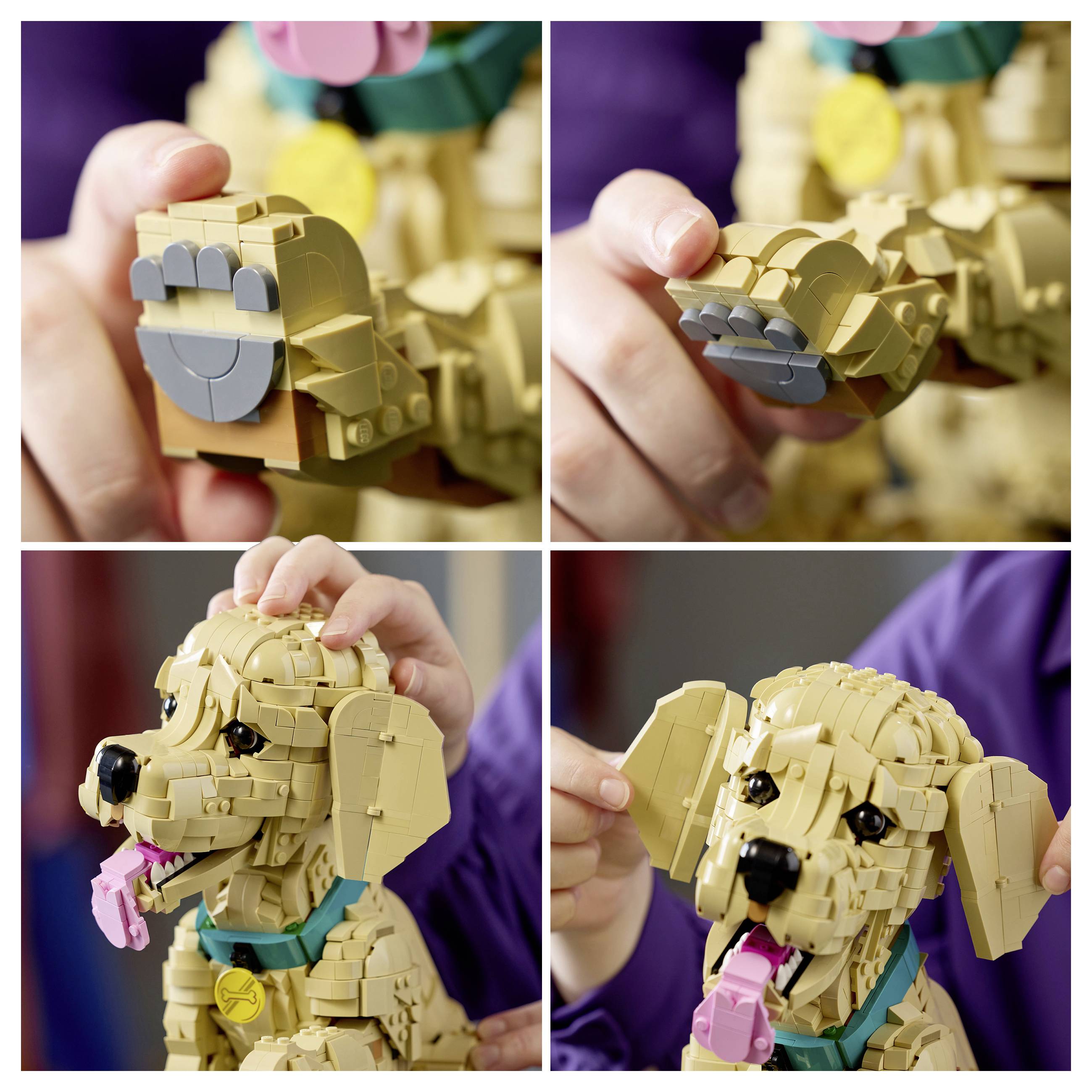 Eine Person hält ein LEGO-Modell eines beigen Hundes mit rosa Zunge, blauem Halsband und beweglichen Pfoten. Das Modell wird aus verschiedenen Winkeln gezeigt.