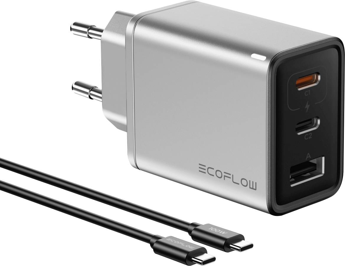 Ein silberner EcoFlow Netzadapter mit drei USB-Anschlüssen und zwei schwarzen USB-C-Kabeln.