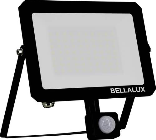 BELLALUX 4099854494130 LED-Außenstrahler mit Bewegungsmelder 50 W Leuchtfarben: Kaltweiß, Weiß