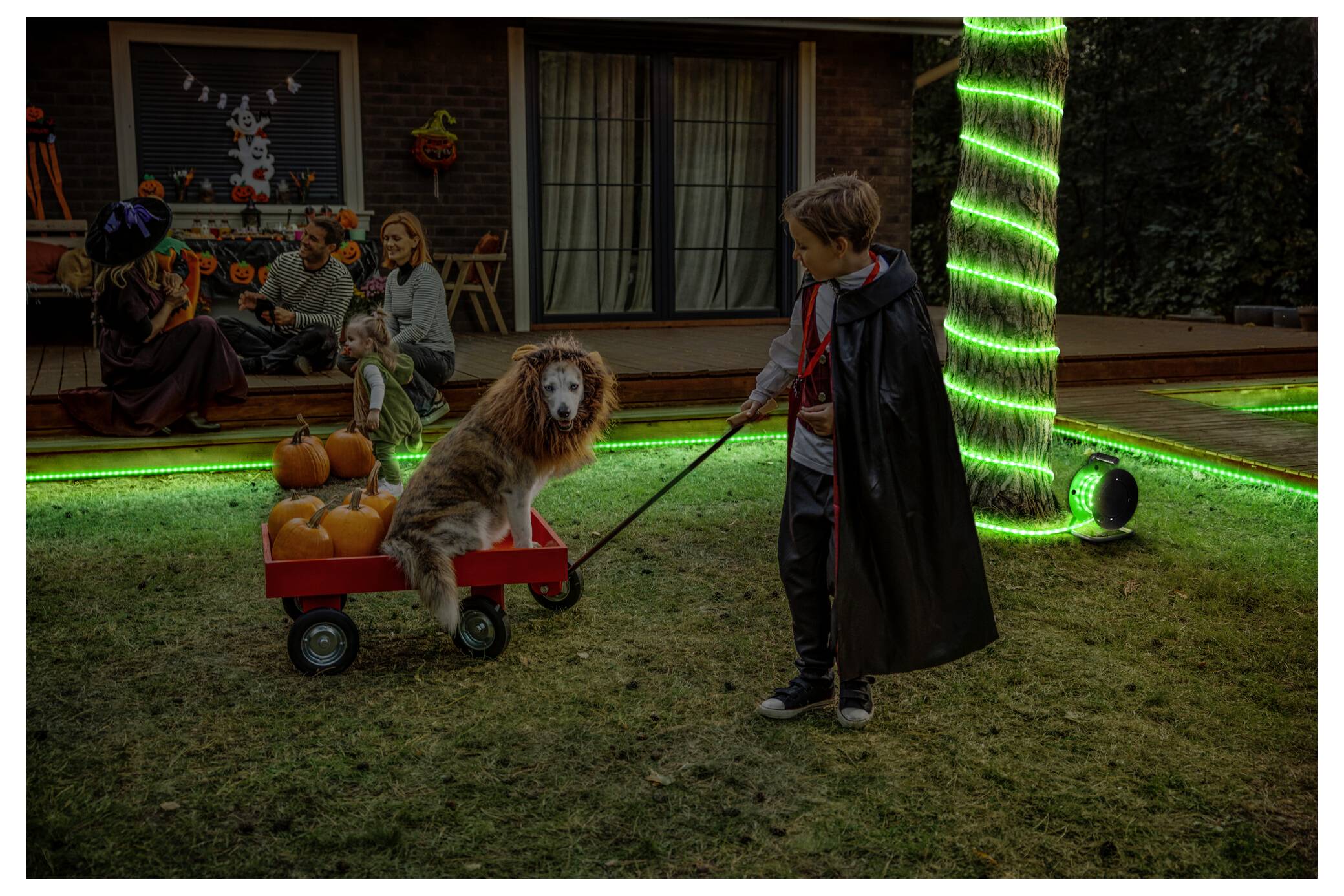 Ein Kind, als Vampir verkleidet, zieht einen roten Bollerwagen, in dem ein Hund sitzt, der als Löwe kostümiert ist. Menschen in Halloween-Kostümen versammeln sich in der Nähe.