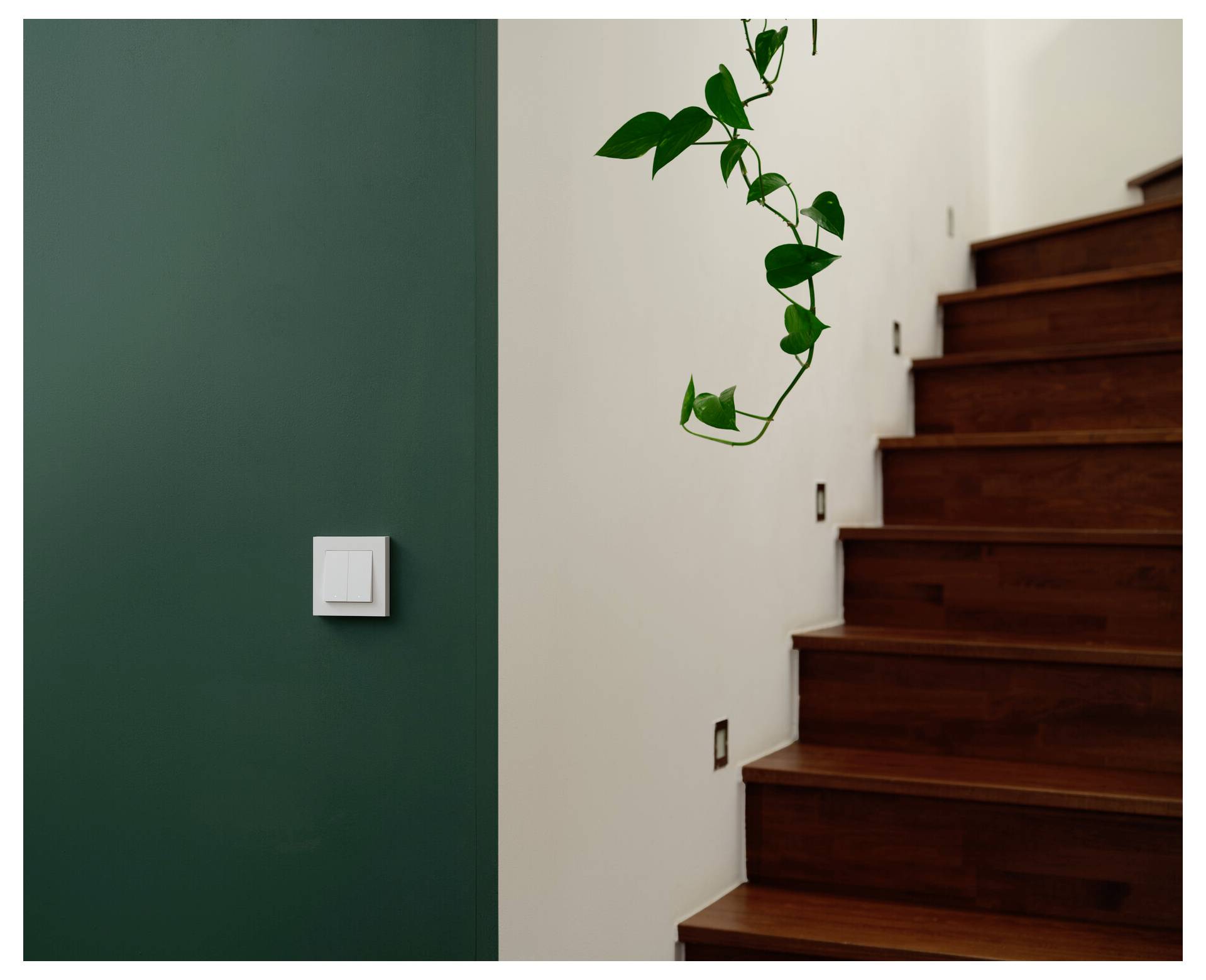 Ein einzelner Lichtschalter an einer grünen Wand neben einer Holztreppe, an deren Wand sich zarte Pflanzranken entlangziehen.