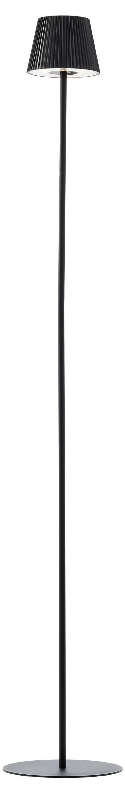 Eine hohe, schlanke Stehlampe mit schwarzem Fuß und Lampenschirm, modernes Design.