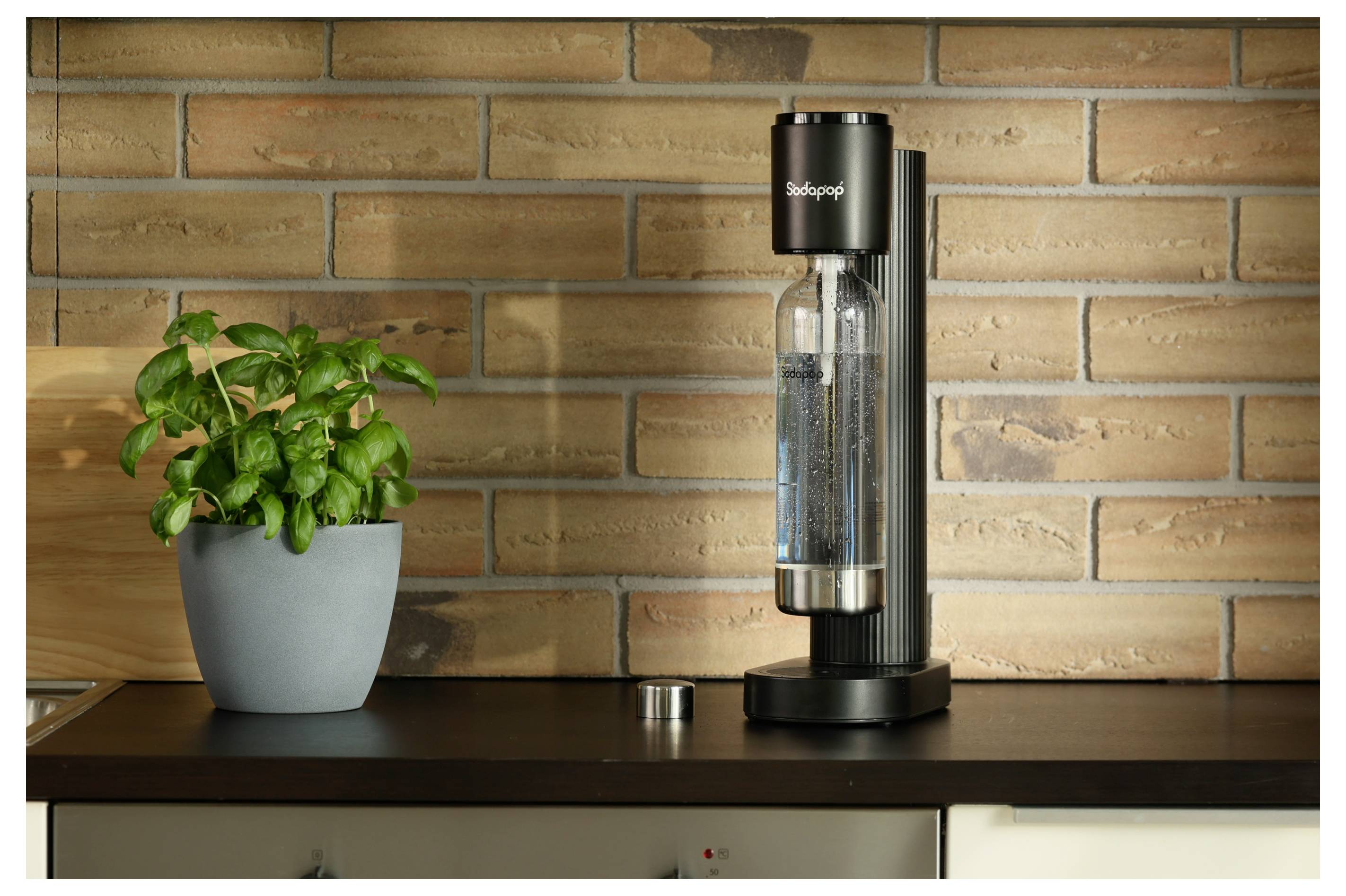 Eine Getränkedose der Marke 'Sodapop' neben einer Topfpflanze auf einer Küchenarbeitsplatte mit Ziegelwandhintergrund.