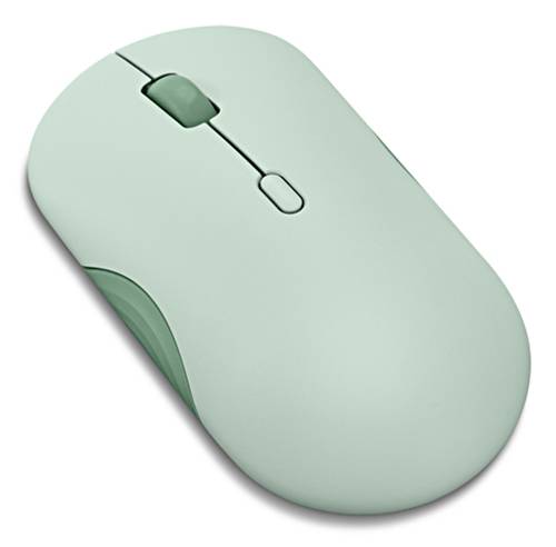 Eine hellgrüne Computermaus mit Scrollrad und zwei Tasten, die für ergonomische Verwendung konzipiert ist.