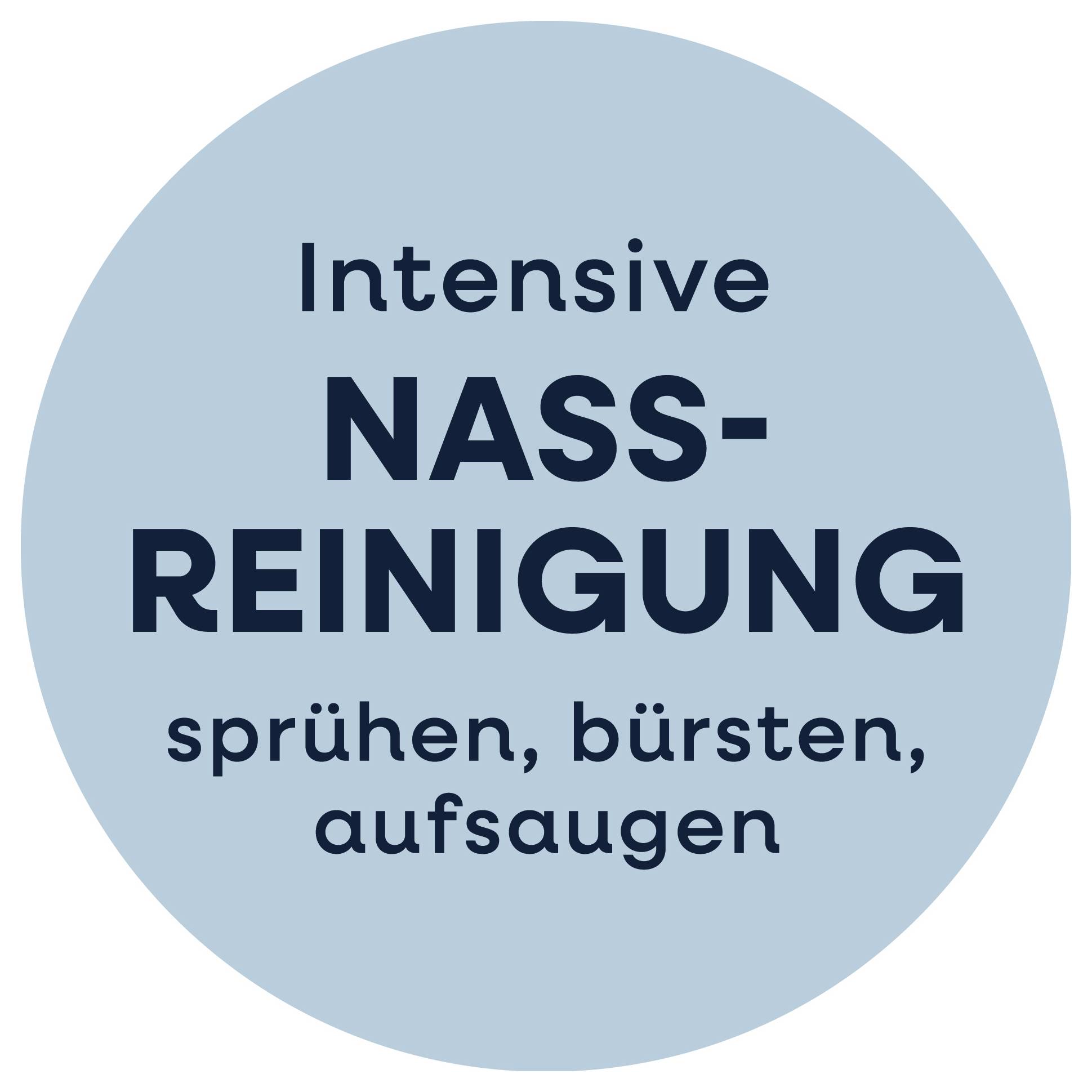 'Intensive NASSREINIGUNG: sprühen, bürsten, aufsaugen' in blauer Kreisform.