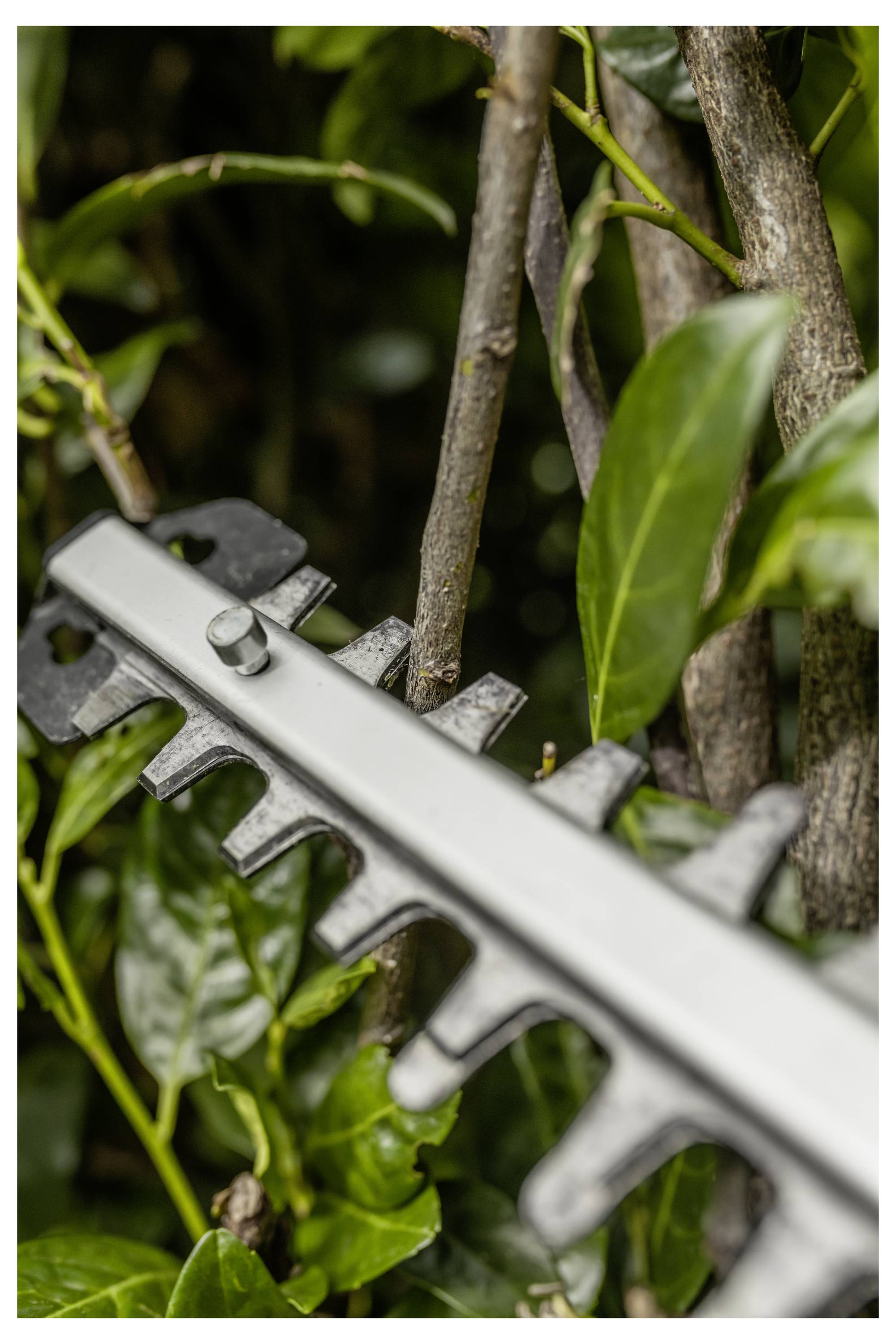 Kärcher Home & Garden PHG 2-18 Akku Akku-Heckenschere ohne Akku, ohne Ladegerät, Höhenverstellbarer Griff 450mm