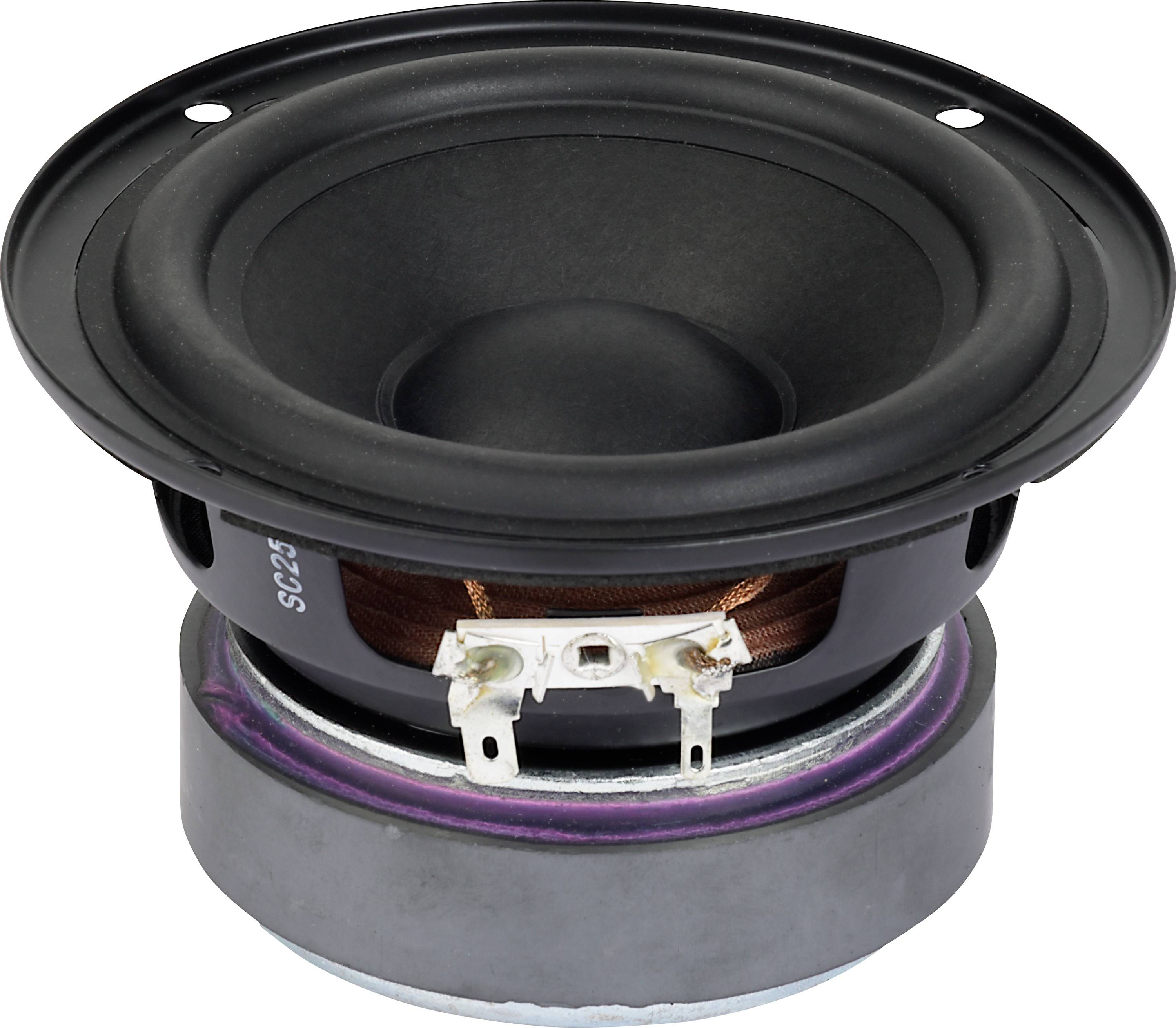 Eine Nahaufnahme eines schwarzen Lautsprechers mit sichtbarem Konus, Sicke und Magnet, die Komponenten von Audiogeräten zeigt.