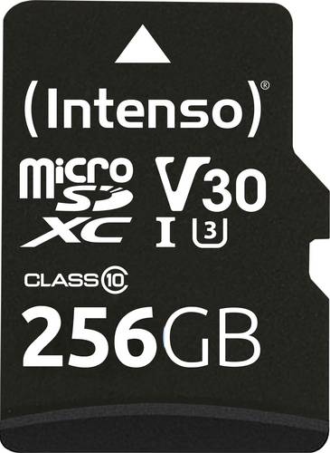 Intenso Professional miniSDXC-Karte Retail 256 GB Class 10, UHS-I U3, v30 Video Speed Class Wasserf