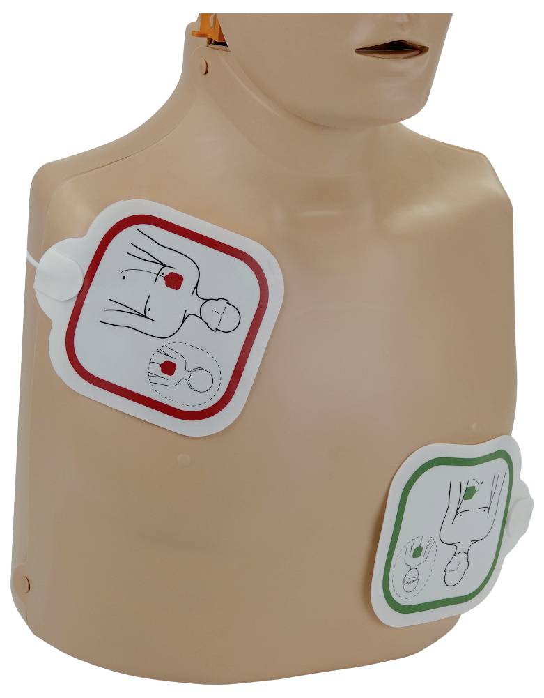 Mannequin-Torso mit zwei angebrachten AED-Defibrillator-Elektrodenpflastern, dargestellt als CPR-Trainingsaufbau.