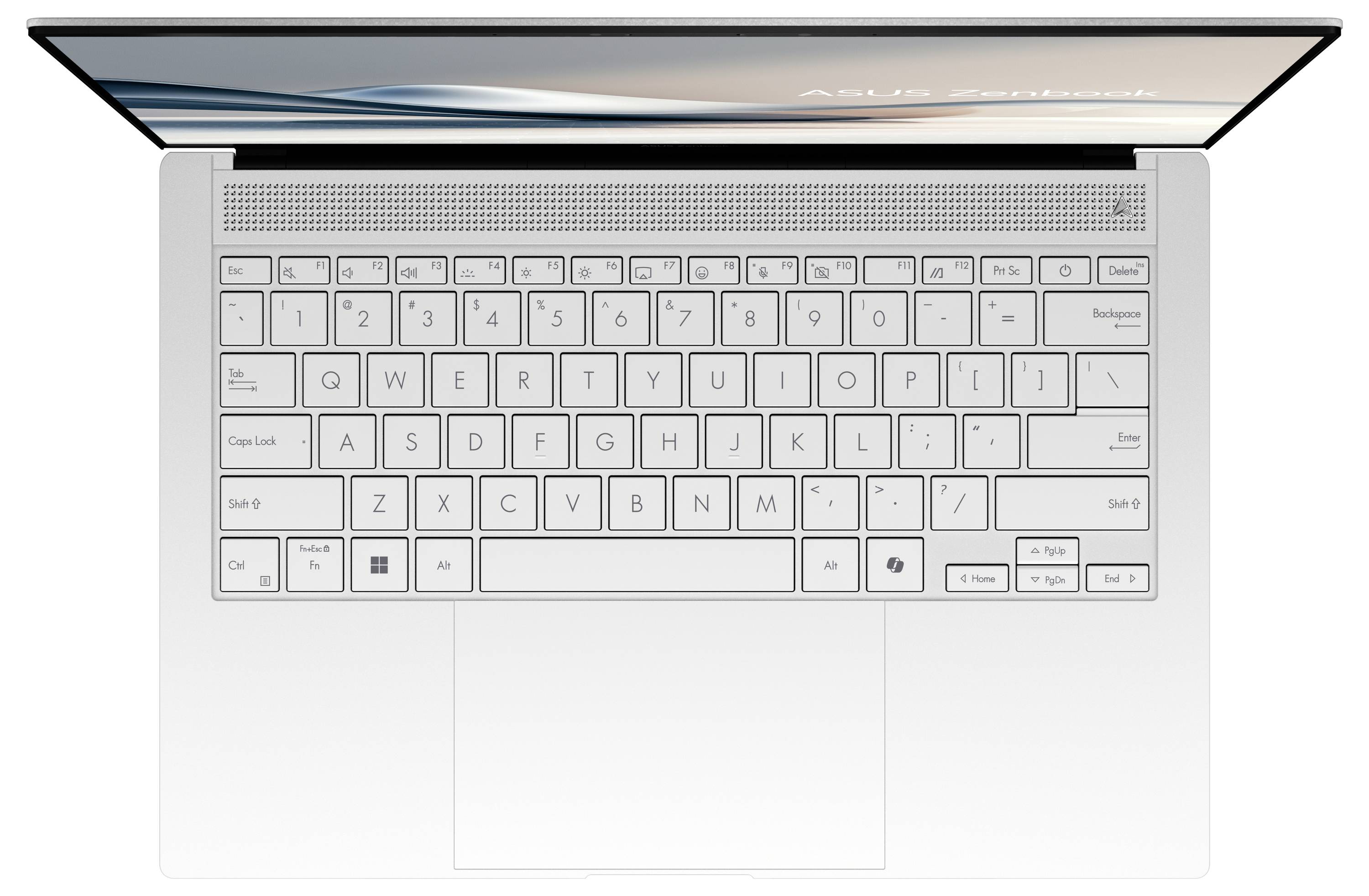 Asus Notebook ZenBook S 14 35.6cm (14 Zoll) WQXGA+ Intel® Core™ Ultra 7 (Series 2) 258V 32GB RAM 1TB SSD Deutsch, QWERTZ Intel