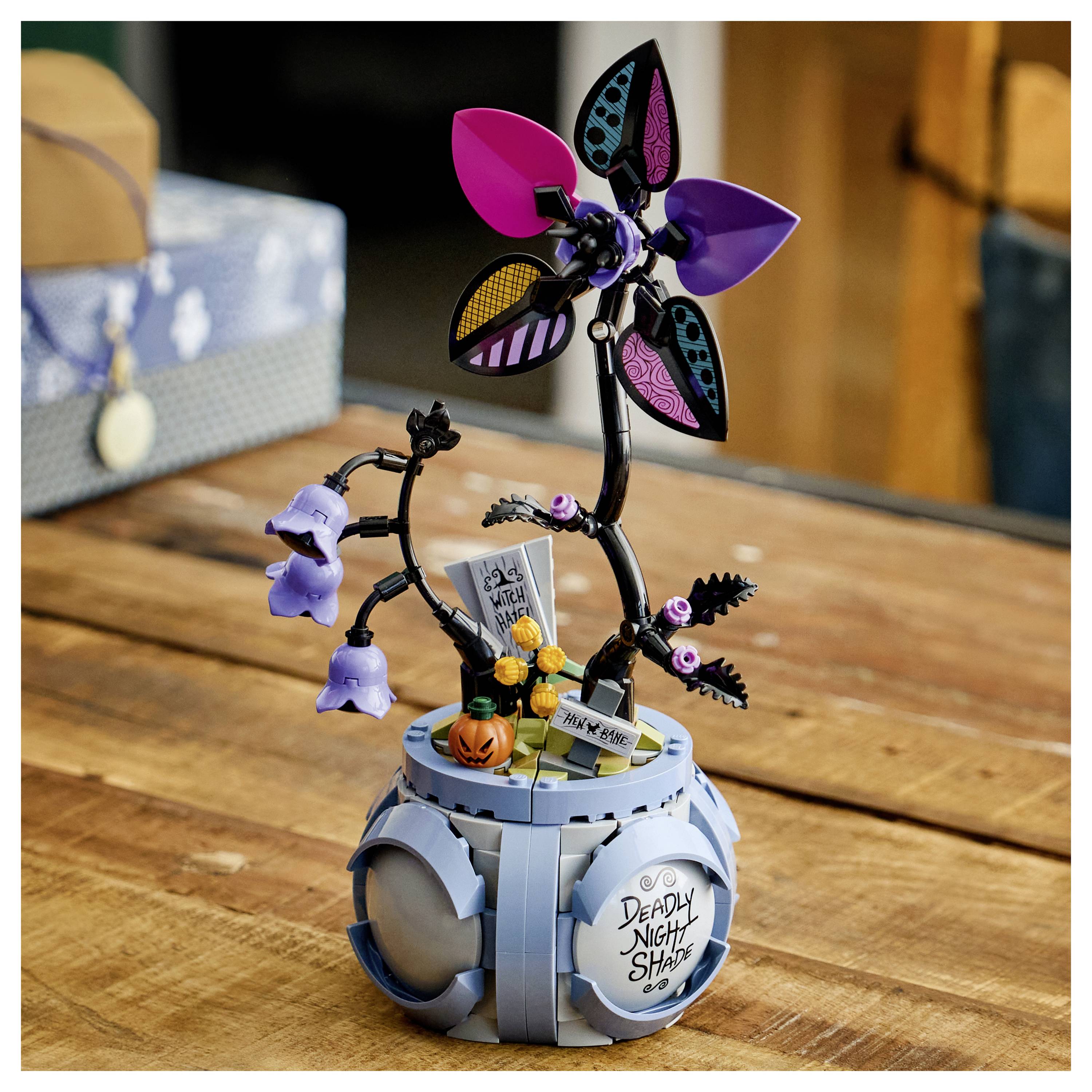 Eine dekorative Spielzeugpflanze mit einer lila und schwarzen Blume mit glockenförmigen Blüten, in einem Topf mit der Aufschrift „Deadly Night Shade