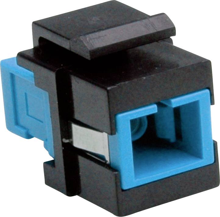 Ein Ethernet-Keystone-Anschluss mit schwarzem Gehäuse und blauem Anschlussport.