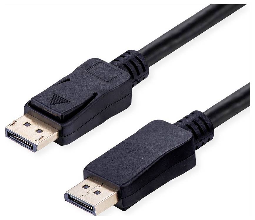 Ein schwarzes Stromadapter mit europäischem Stecker und einem abnehmbaren Verbindungskabel.