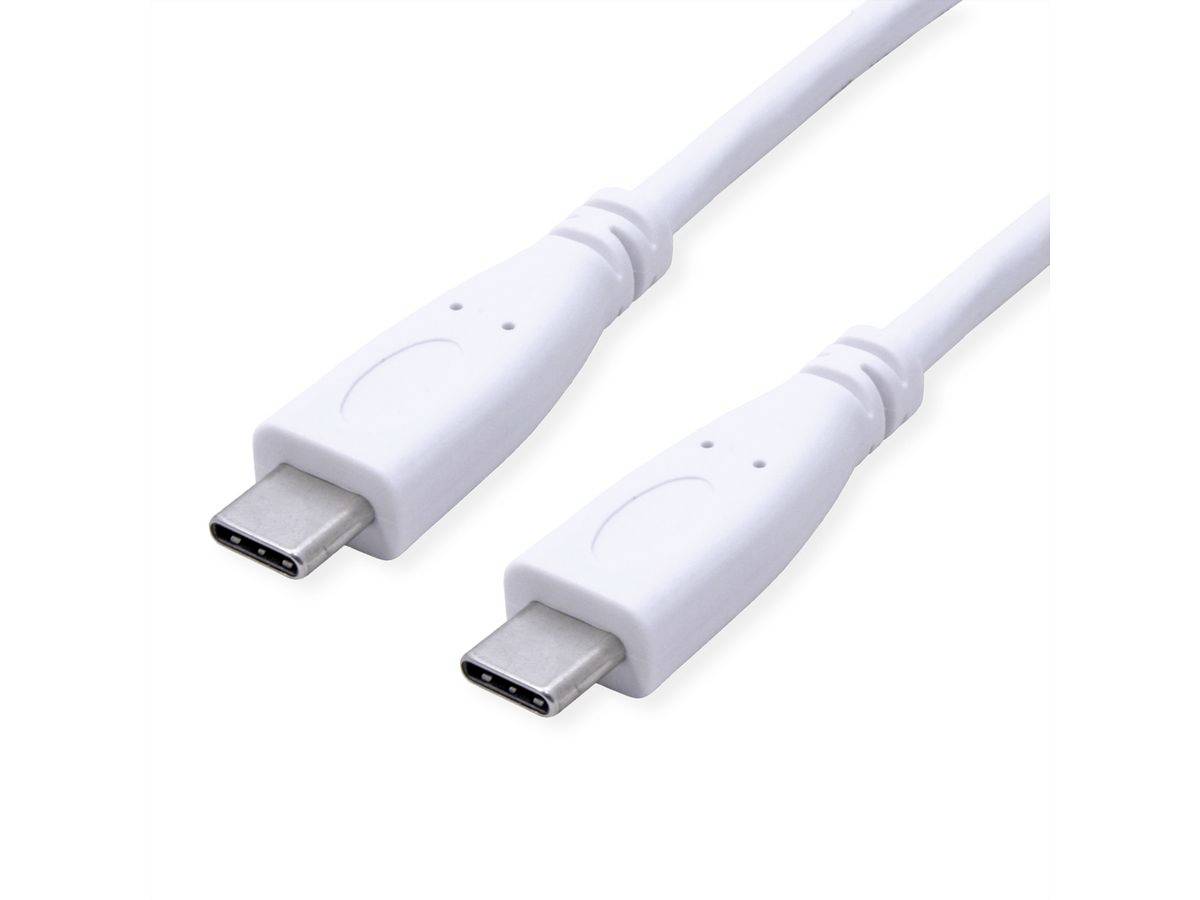 Weißes USB-C-Kabel mit Steckverbindern an beiden Enden, das für die Stromversorgung und Datenübertragung zwischen elektronischen Geräten verwendet wird.