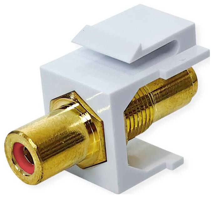 Ein vergoldeter RCA-Stecker mit einer weißen Wandplatteneinsatz, verwendet für Audio- und Videoverbindungen.