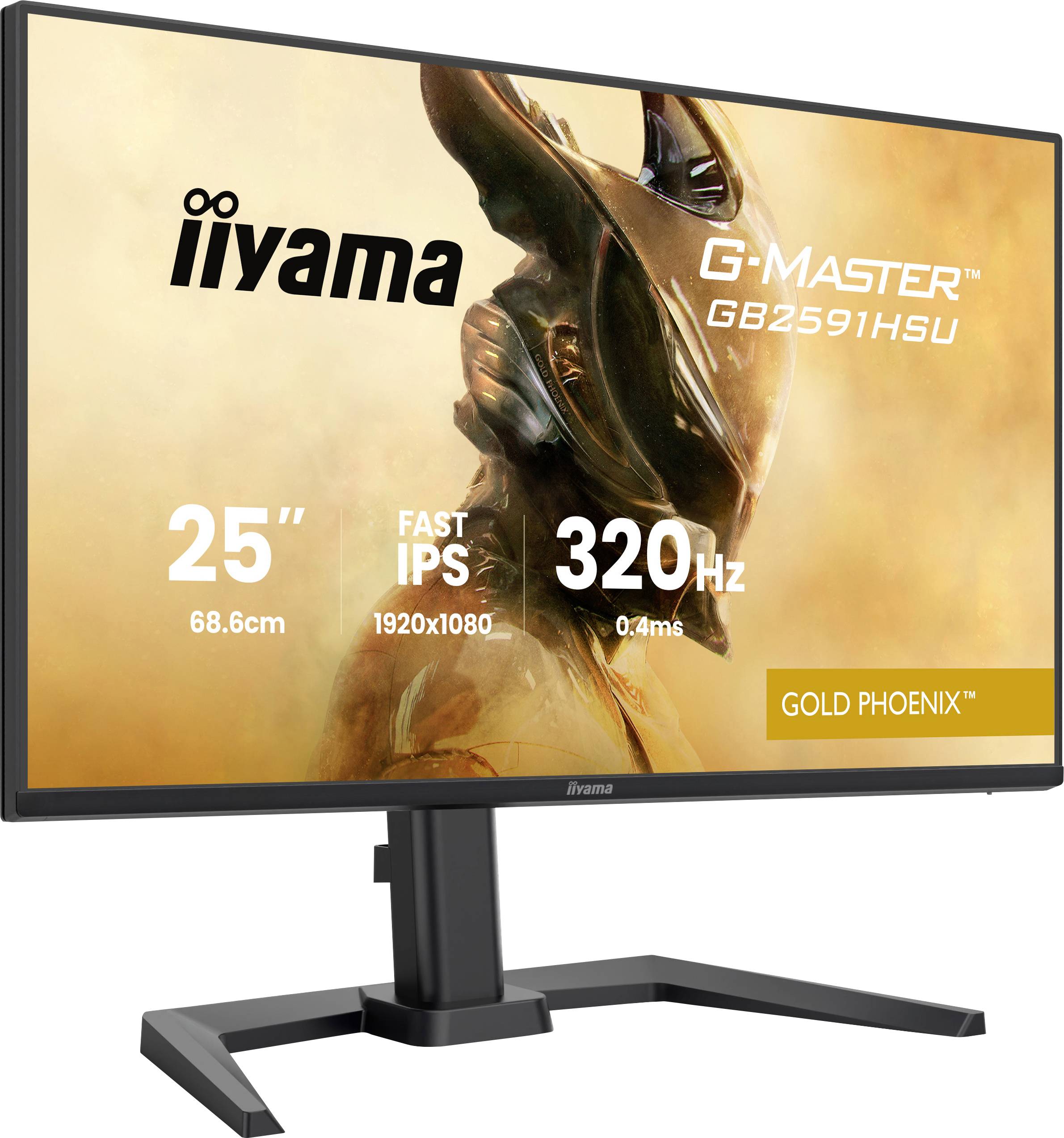 Ein Gaming-Monitor mit der Aufschrift „iiyama G-Master GB2591HSU 25