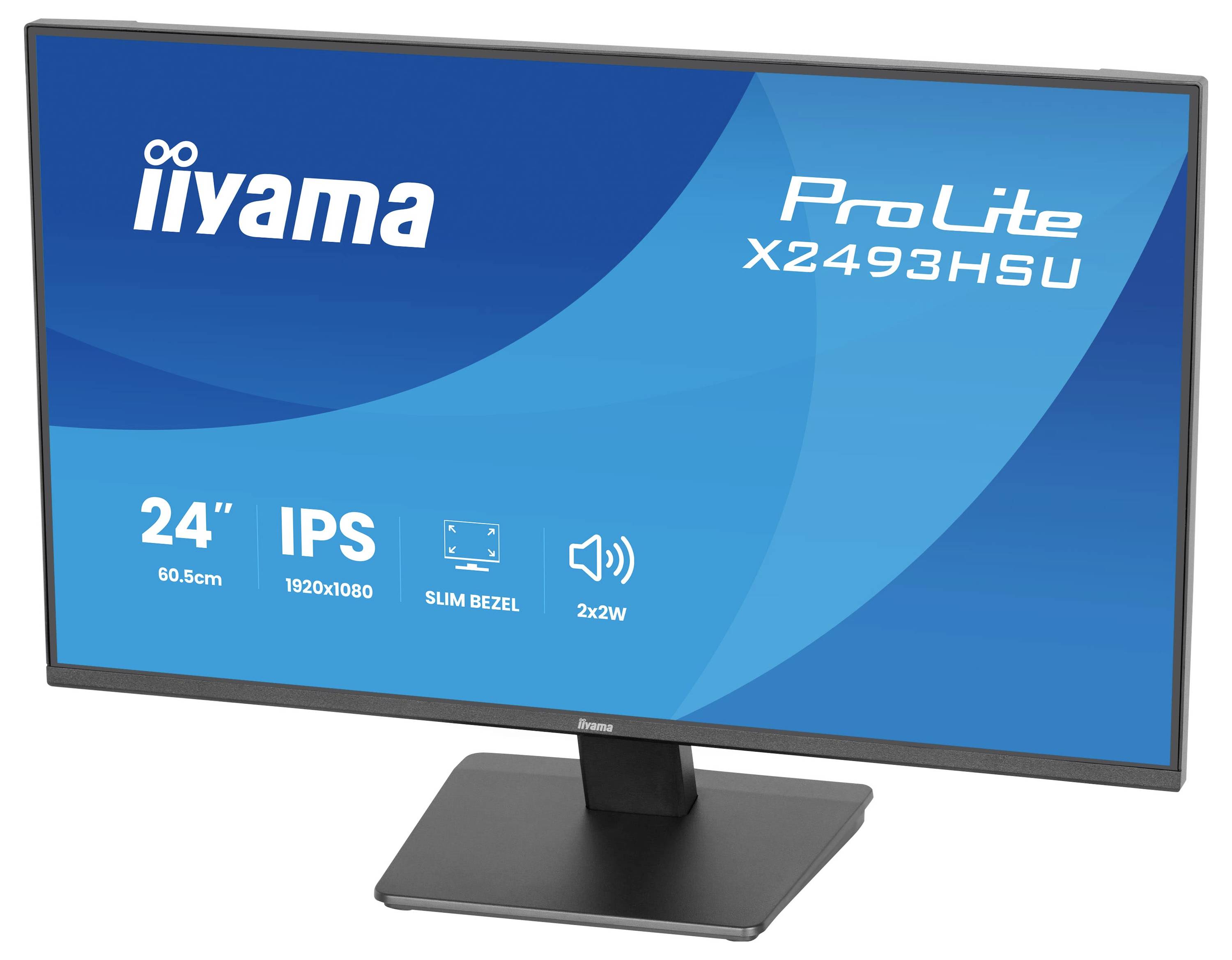 Ein Breitbildmonitor zeigt „iiyama ProLite X2493HSU