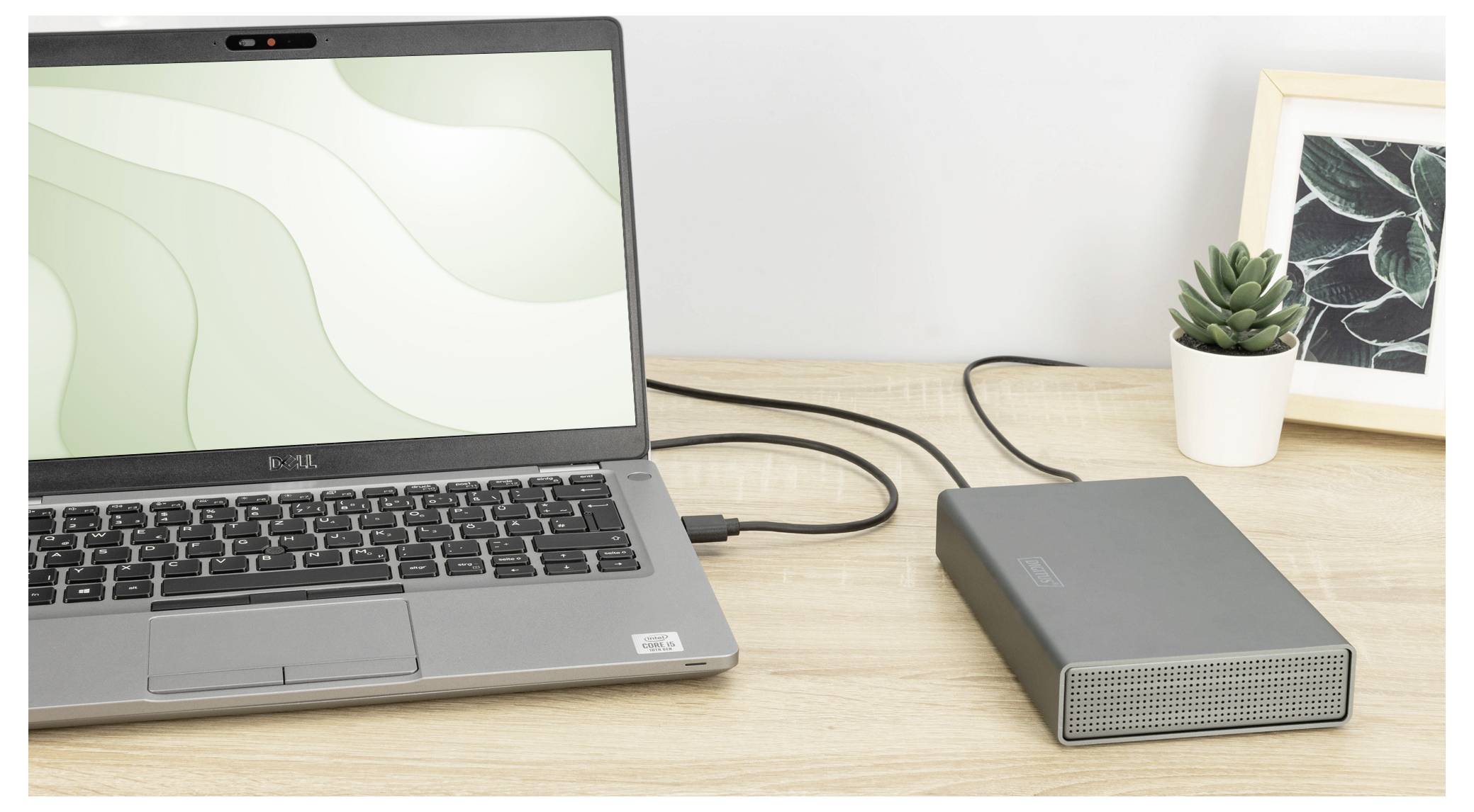 Ein Laptop, der mit einer externen Festplatte auf einem Holzschreibtisch verbunden ist, mit einem eingerahmten Blattdruck und einer kleinen getopften Sukkulente in der Nähe.