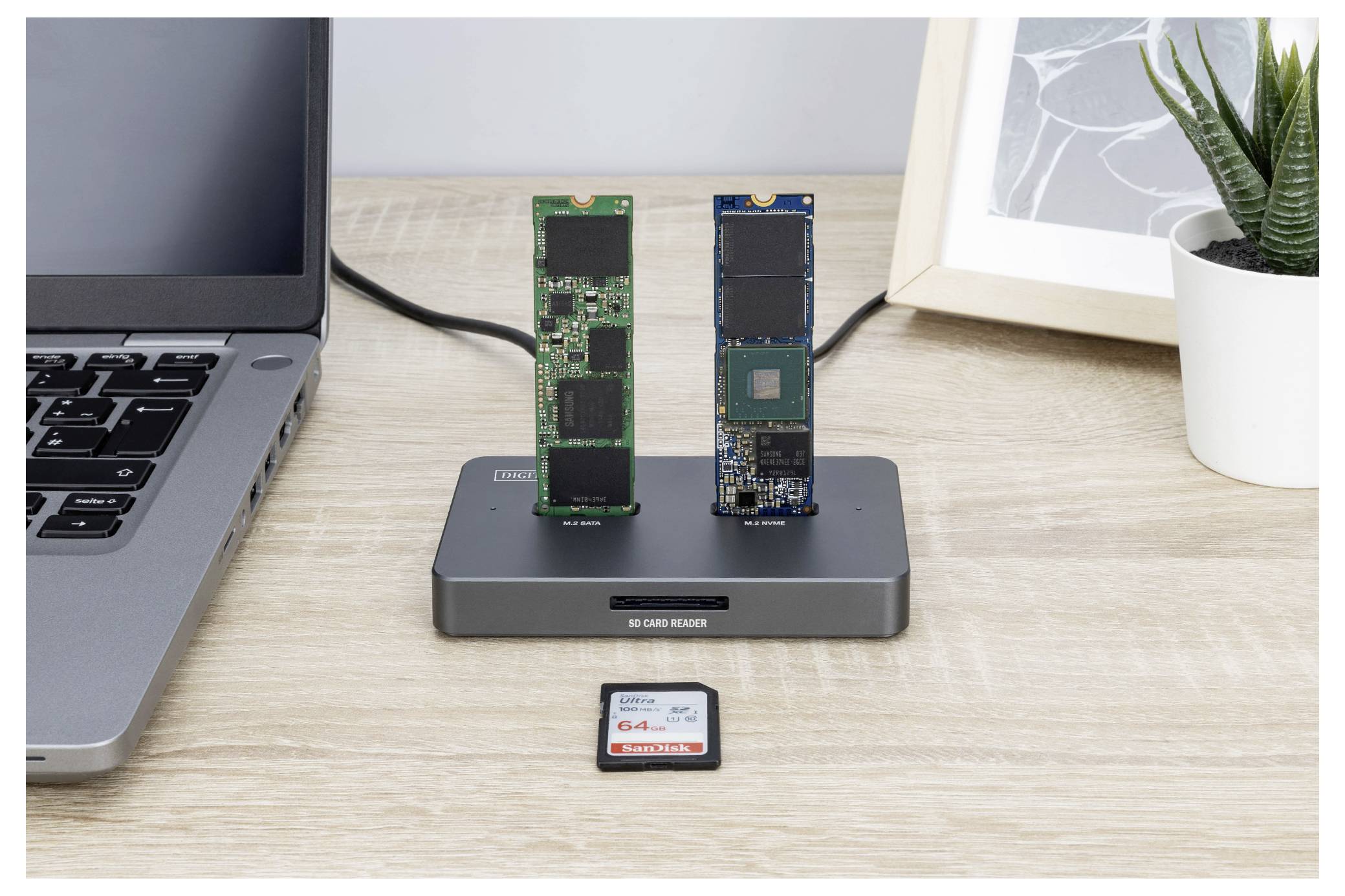 Laptop, der mit einer Dual-M.2-SSD-Dockingstation verbunden ist, in die zwei SSDs eingesetzt sind, mit einem gerahmten Bild und einer Topfpflanze im Hintergrund.