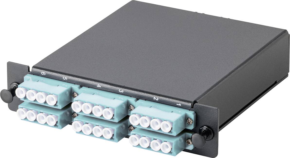 Glasfaser-Kassette mit acht Anschlüssen und türkisfarbenen Steckverbindern, verwendet für dichtes Kabelmanagement in Netzwerkgeräten.