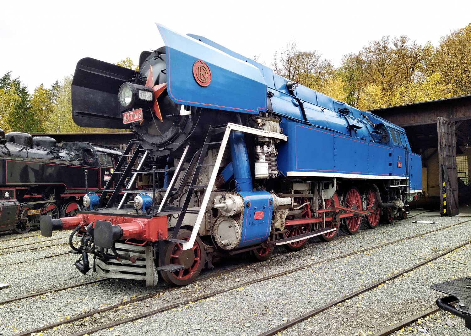 Eine hellblaue Dampflokomotive mit roten Akzenten steht auf Eisenbahngleisen neben einem Schuppen, umgeben von Herbstbäumen.