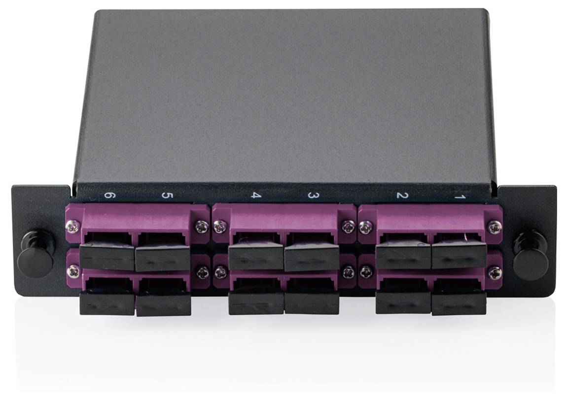 Eine Vorderansicht eines schwarzen Panel-Racks mit mehreren violetten und schwarzen Anschlüssen, beschriftet von 1 bis 6, zum Anschließen von Lichtwellenleiterkabeln.