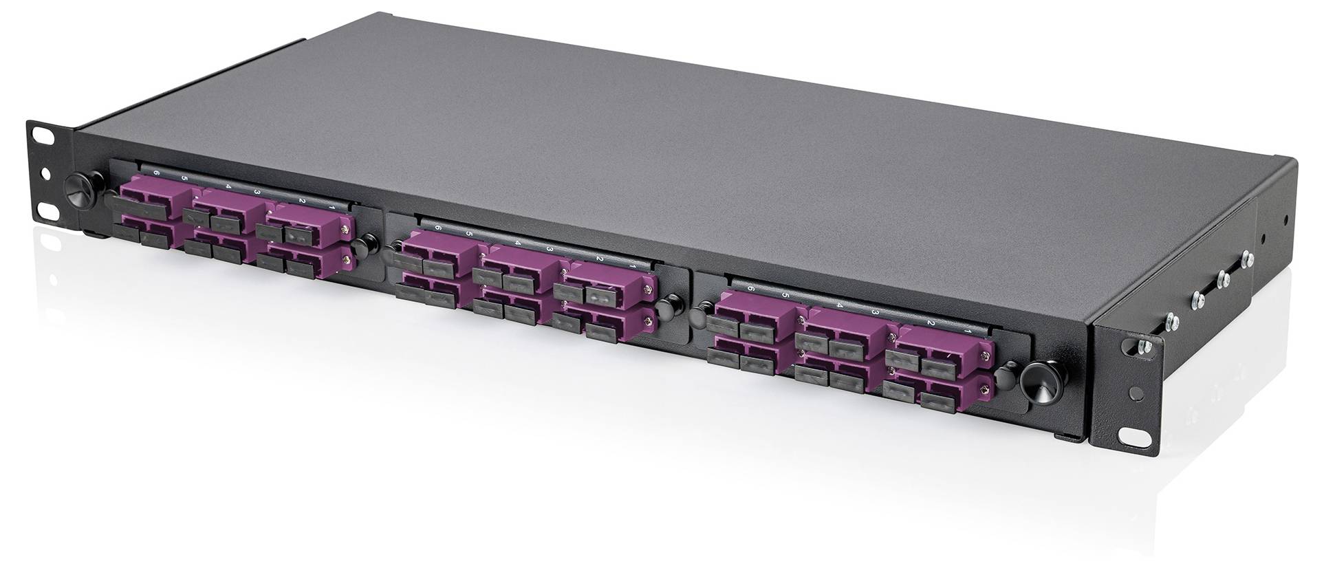 Ein schwarzer Netzwerk-Switch mit mehreren violetten Anschlüssen auf der Frontplatte, konstruiert für die Montage in einem Server-Rack.