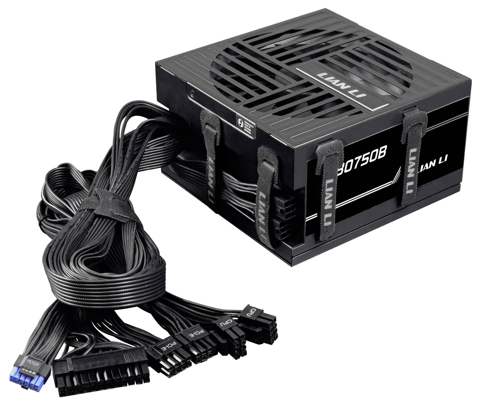 Eine schwarze Stromversorgungseinheit mit mehreren Anschlüssen, beschriftet mit „LAN LI