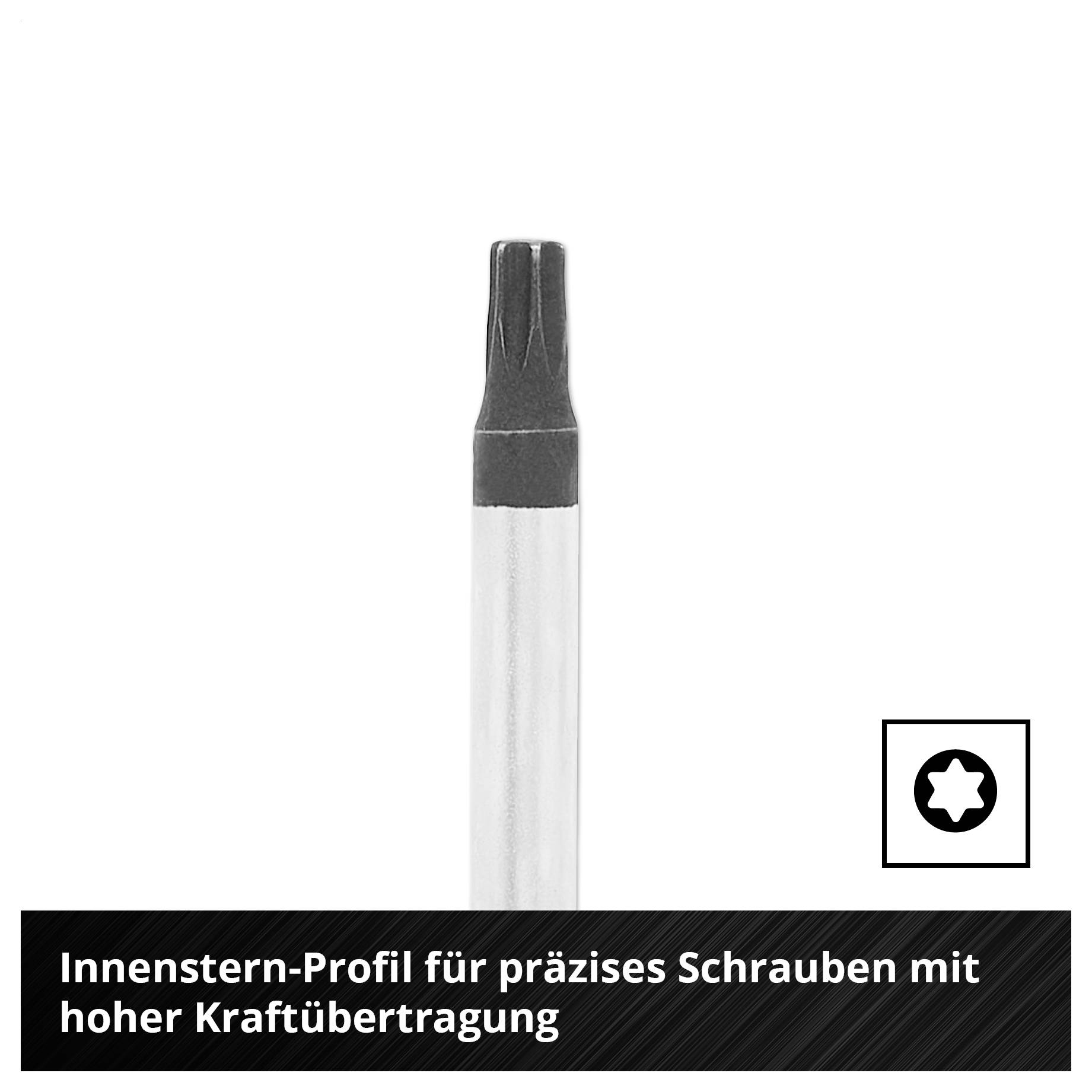 Bohrer mit Innenstern-Profil für präzises Schrauben; hoher Kraftübertragung.