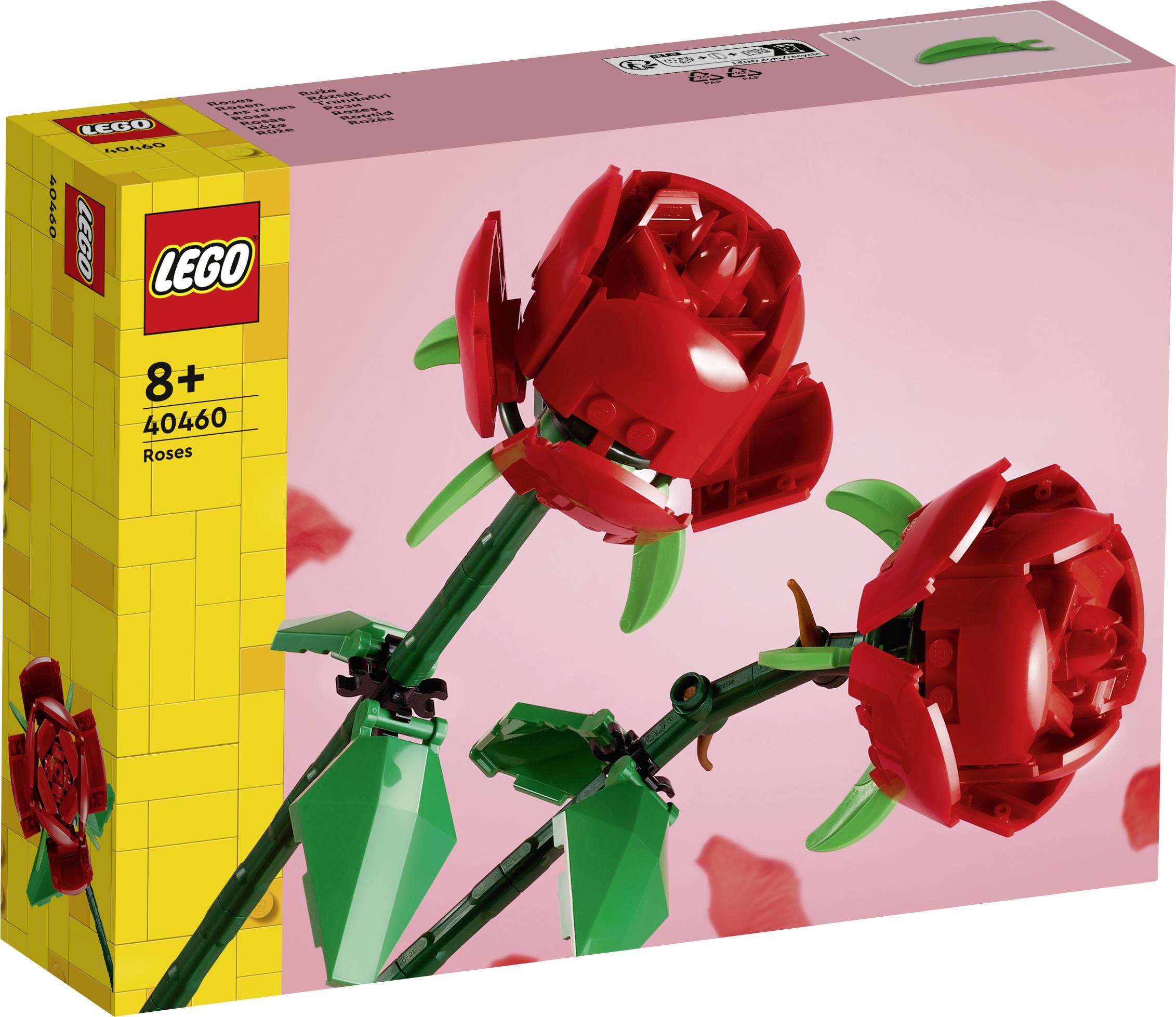 Eine LEGO-Setbox mit 