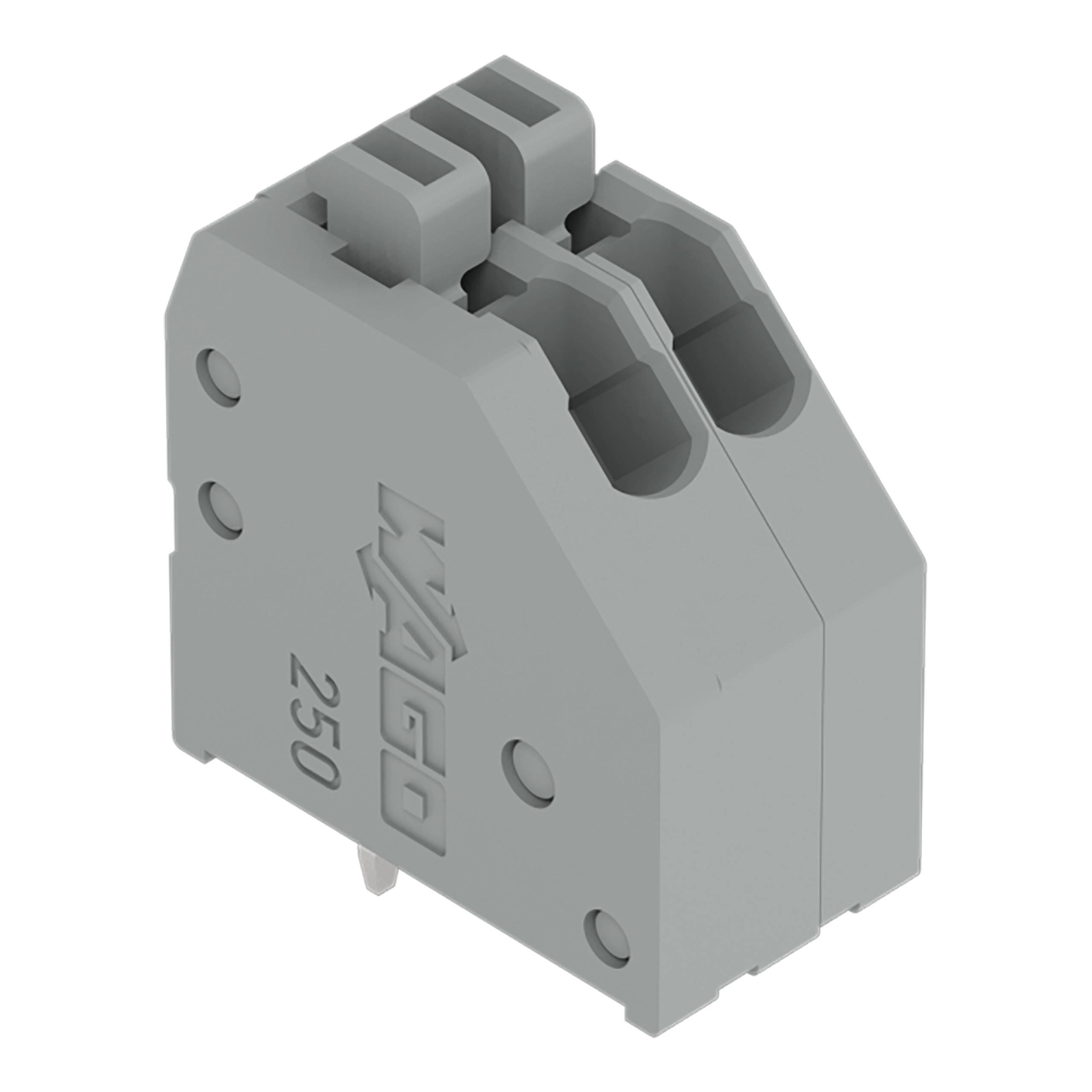 Ein graues Elektroklemmleistenblock mit zwei Drahtanschlüssen, geprägt mit dem Wort 